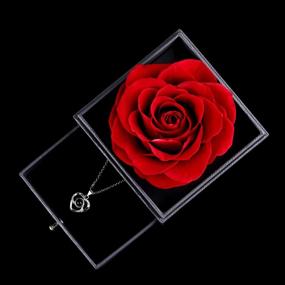 img 2 attached to 💝 Подарочный набор на День святого Валентина: сохраненная настоящая роза с серебряным кулоном в форме сердца - озаренная красная роза для юбилея, свадьбы, романтических подарков для неё