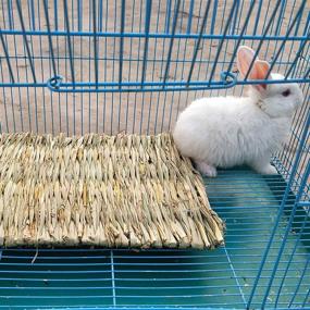 img 1 attached to 🐇 PINVNBY Natural Straw Woven Grass Mat for Rabbit | Bunny Cage Accessories for Sleeping, Chewing, Nesting, and Play | Small Animal Bed, Hay Mat, Toy | Ideal for Guinea Pig, Hamster, Rat