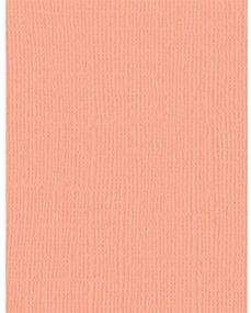 img 1 attached to 📝 Bazzill 25 Sheets Mono Coral Cream: Premium 8.5 x 11 Craft Paper for Creative Projects