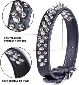 img 2 attached to 🐶 Stylish and Durable Rivet Spiked Studded Leather Dog Collar for Small or Medium Pets by Rachel Pet Products