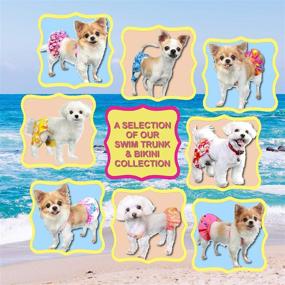 img 2 attached to 🐶 Pooch Outfitters: Premium Dog Swim Trunks & Bikinis - Stylish Canine Swimwear and Beach Apparel for Small, Medium, Large Dogs