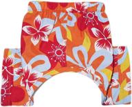 🐶 pooch outfitters: premium dog swim trunks & bikinis - stylish canine swimwear and beach apparel for small, medium, large dogs логотип