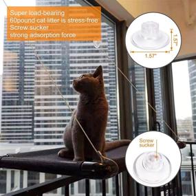 img 2 attached to KGRAPET Cat Window Perch Hammock - Reinforced Cat Window Bed with Pipe Design - 4 Screw Suction Cups - Supports up to 30 Pounds - Space-Saving Cat Window Seat - Perfect for Indoor Cats - Enhance Your Cat's Comfort with a Window Perch