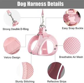 img 2 attached to 🐾 PetiFine Step-in Dog and Cat Harness Leash Set, Escape-Proof Cat and Dog Harness, All-Weather Reflective Mesh, Air Vest Step-in Harness for Extra Small/Medium Dogs and Puppies