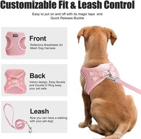 img 3 attached to 🐾 PetiFine Step-in Dog and Cat Harness Leash Set, Escape-Proof Cat and Dog Harness, All-Weather Reflective Mesh, Air Vest Step-in Harness for Extra Small/Medium Dogs and Puppies