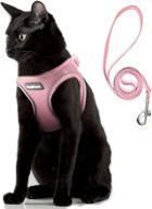 🐾 petifine step-in dog and cat harness leash set, escape-proof cat and dog harness, all-weather reflective mesh, air vest step-in harness for extra small/medium dogs and puppies logo