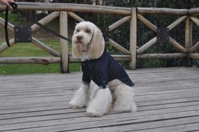 img 1 attached to 🐶 Cloo Puppy Premium Shirt/Vest/Jacket: Soft & Breathable Clothes for Dogs and Puppies - A Perfect Blend of Comfort and Style