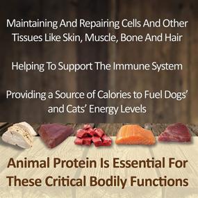 img 2 attached to Premium USA Sourced and Made Freeze Dried Beef Liver Dog and Cat Treat Value Pack, High Protein for Training, Finicky Eaters, Digestive Health, Weight Management, 10 Ounce