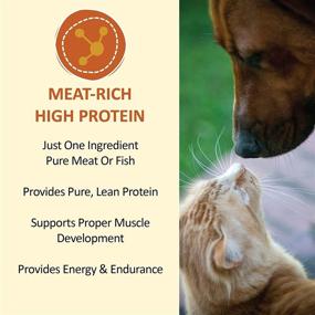 img 3 attached to Premium USA Sourced and Made Freeze Dried Beef Liver Dog and Cat Treat Value Pack, High Protein for Training, Finicky Eaters, Digestive Health, Weight Management, 10 Ounce