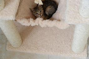 img 3 attached to Aeromark International Armarkat Mult-Level Cat Tree Hammock Bed Review: A6901, Beige, 69'' Height - The Ultimate Climbing Center for Cats and Kittens