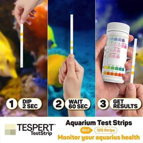 img 3 attached to 🐠 6-in-1 TESPERT Aquarium Test Strips Kit: Accurate Fish Tank, Pond Testing - 125 Strips Pack for Total Hardness, Nitrate, Natrite, Chlorine, Carbonate & pH