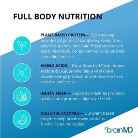 img 2 attached to 🌱 Dr. Amen brainMD Omni Protein Chocolate - 2.38 lbs - Plant-Based Protein Powder for Energy & Exercise Recovery - Vegan, Vegetarian, Sugar-Free, Gluten-Free - 30 Servings