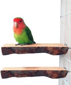 img 4 attached to 🐦 Tfwadmx Parrot Perch for Cage: 2 Pack Bird Stand Platform for Parakeet, Cockatiel, Lovebird, Finches, Conure, Budgie - Natural Wood Playground Accessories
