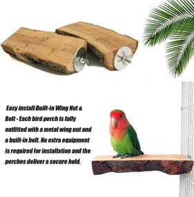 img 3 attached to 🐦 Tfwadmx Parrot Perch for Cage: 2 Pack Bird Stand Platform for Parakeet, Cockatiel, Lovebird, Finches, Conure, Budgie - Natural Wood Playground Accessories