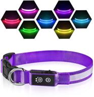 rechargeable waterproof led dog collar - 7 color change, super bright, high visibility, 10h working time - small medium large dogs logo