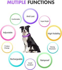 img 2 attached to Rechargeable Waterproof LED Dog Collar - 7 Color Change, Super Bright, High Visibility, 10H Working Time - Small Medium Large Dogs