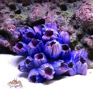 🐠 enhance your aquarium with danmu polyresin coral ornaments - vibrant and lifelike fish tank decoration! логотип