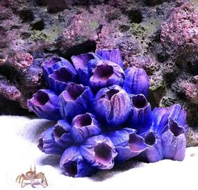 img 4 attached to 🐠 Enhance Your Aquarium with Danmu Polyresin Coral Ornaments - Vibrant and Lifelike Fish Tank Decoration!