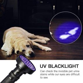 img 3 attached to 🔦 YOUTHINK Flashlight Pet Stain Urine Finder: Illuminate & Detect with 100 Bright LEDs and Glasses