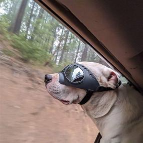 img 3 attached to 🐶 NAMSAN Dog Goggles: UV Sunglasses for Long Snout Dogs - Protection from Wind, Snow, and UV Rays