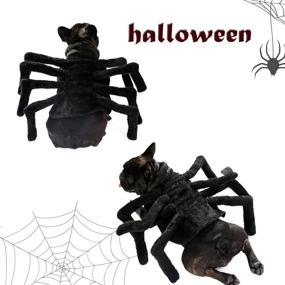 img 3 attached to PAWZ Road Halloween Costumes Dogs Large