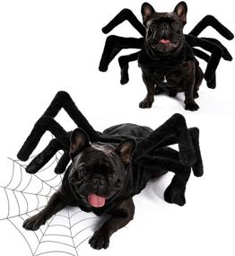 img 4 attached to PAWZ Road Halloween Costumes Dogs Large