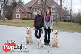 img 3 attached to 🐶 PupLight2: Enhanced Brightness & Safety with Reflective Dog Collar