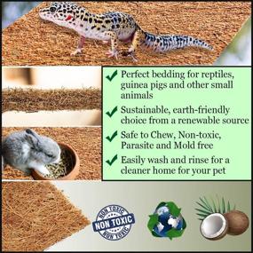 img 2 attached to 🐍 SunGrow Coco Fiber Mat for Pets: Reptile Bed, Terrarium Liner - Best for Snakes, Chameleons, Geckos