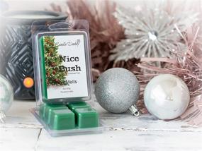 img 2 attached to 🎅 The Candle Daddy Nice Bush - Pine Blue Spruce Scent - Highly Fragrant Wax Melts - 2 oz - Dirty Santa Claus Christmas