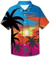 boys' clothing: hawaiian hibiscus pineapple turquoise tops, tees & shirts for children logo