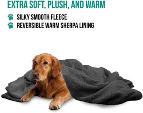 img 3 attached to Reversible Sherpa Dog Blanket - Plush and Warm PetAmi Blanket for Dog Bed, Couch, Sofa, Car