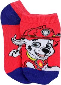 img 1 attached to Paw Patrol Socks Heather Medium