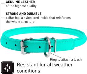 img 3 attached to WAUDOG Rolled Leather Dog Collar Dogs in Training & Behavior Aids