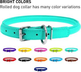 img 2 attached to WAUDOG Rolled Leather Dog Collar Dogs in Training & Behavior Aids