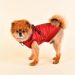 img 1 attached to Puppia Authentic Frost Pet Coat: Optimal Winter Protection for Your Beloved Pets