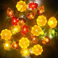 🍁 10ft 30 led thanksgiving lights, pumpkin maples acorns fairy string lights, fall garland with lights for autumn fall party decorations indoor outdoor logo