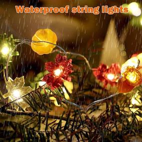 img 2 attached to 🍁 10ft 30 LED Thanksgiving Lights, Pumpkin Maples Acorns Fairy String Lights, Fall Garland with Lights for Autumn Fall Party Decorations Indoor Outdoor