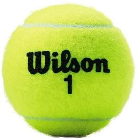 img 1 attached to 🎾 Optimized for SEO: WILSON Championship Tennis Balls