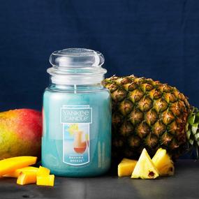 img 3 attached to Yankee Candle Bahama Breeze - Large Jar Candle for a Refreshing Atmosphere!