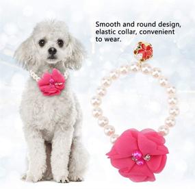 img 3 attached to 💎 Fancy Pearls Crystal Pet Necklace: Exquisite Jewelry for Stylish Pets