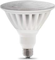 💡 par38 5000 led bulb by feit electric logo