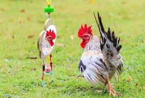 img 1 attached to Vehomy Chicken Toys with Mirrors - Wooden Mirror Toy with Bell for Chicks, Hens, and Roosters