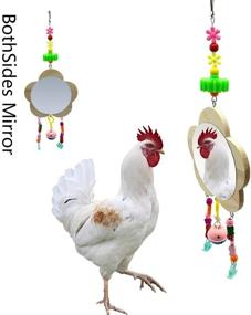 img 4 attached to Vehomy Chicken Toys with Mirrors - Wooden Mirror Toy with Bell for Chicks, Hens, and Roosters