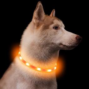 img 4 attached to PetIsay Glowing Dog Collar Rechargeable Dogs