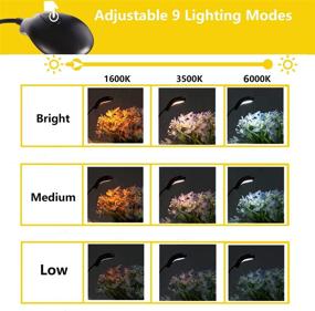 img 1 attached to 📚 LEDGLE Amber Book Light for Bed Reading, Eye-Care LED Reading Light, 3 Color Modes, 1600K-6000K, Rechargeable, 3 Brightness Levels