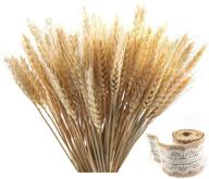 🌾 premium golden dried natural wheat sheaves with burlap ribbon - ideal for diy fall arrangements, craft design & decor (100 pieces) logo