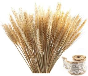 img 4 attached to 🌾 Premium Golden Dried Natural Wheat Sheaves with Burlap Ribbon - Ideal for DIY Fall Arrangements, Craft Design & Decor (100 Pieces)