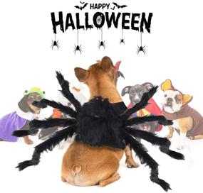 img 3 attached to 🕷️ Yoochee Halloween Spider Costumes for Dogs and Cats - Pet Cosplay Apparel for Medium and Small Pets