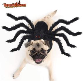 img 4 attached to 🕷️ Yoochee Halloween Spider Costumes for Dogs and Cats - Pet Cosplay Apparel for Medium and Small Pets