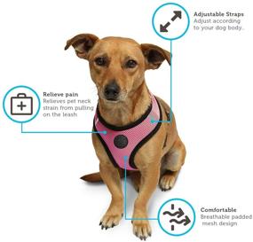 img 2 attached to 🐾 Ultimate Comfort and Control: Paws & Pals Pet Control Harness for Dogs & Cats - Soft and Easy Walking Collar